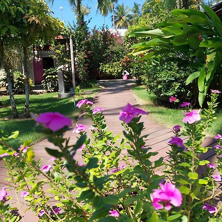 Hotel Casa Robinson Las Terrenas Kültér fotó