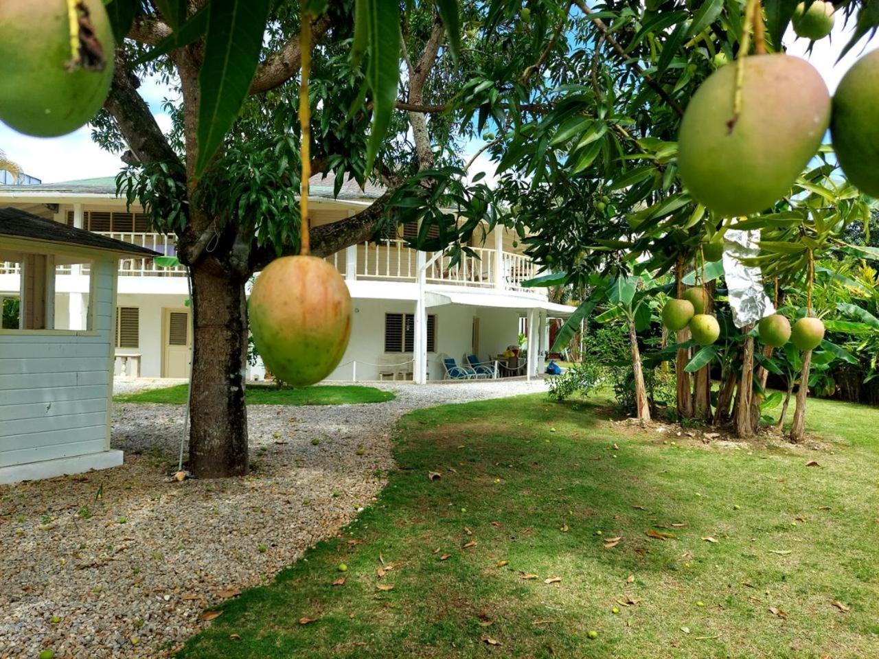 Hotel Casa Robinson Las Terrenas Kültér fotó
