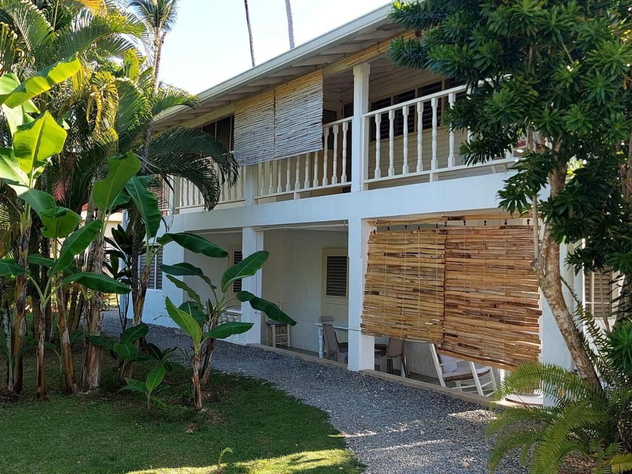 Hotel Casa Robinson Las Terrenas Kültér fotó