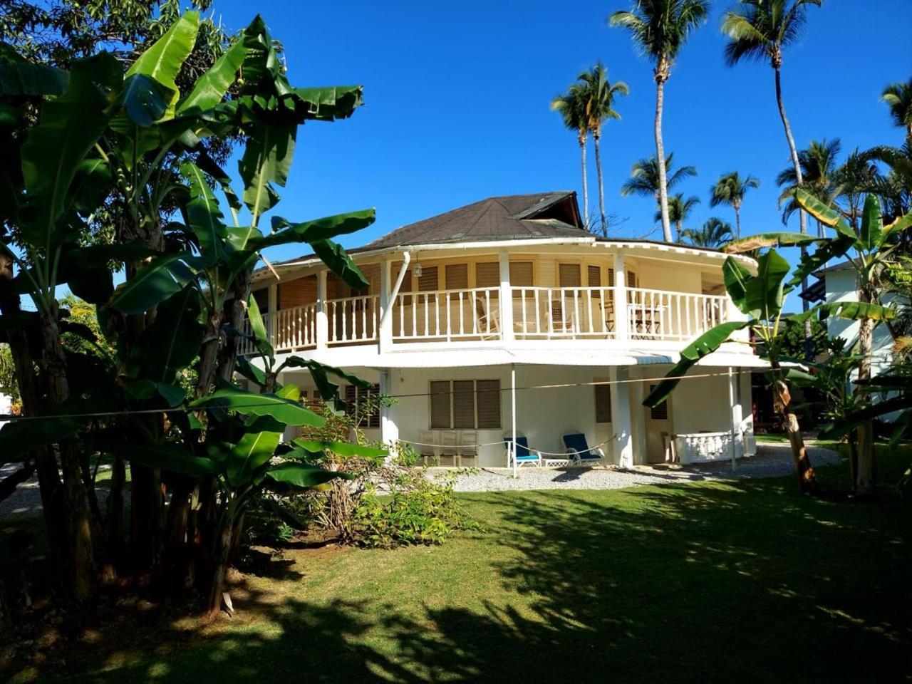 Hotel Casa Robinson Las Terrenas Kültér fotó