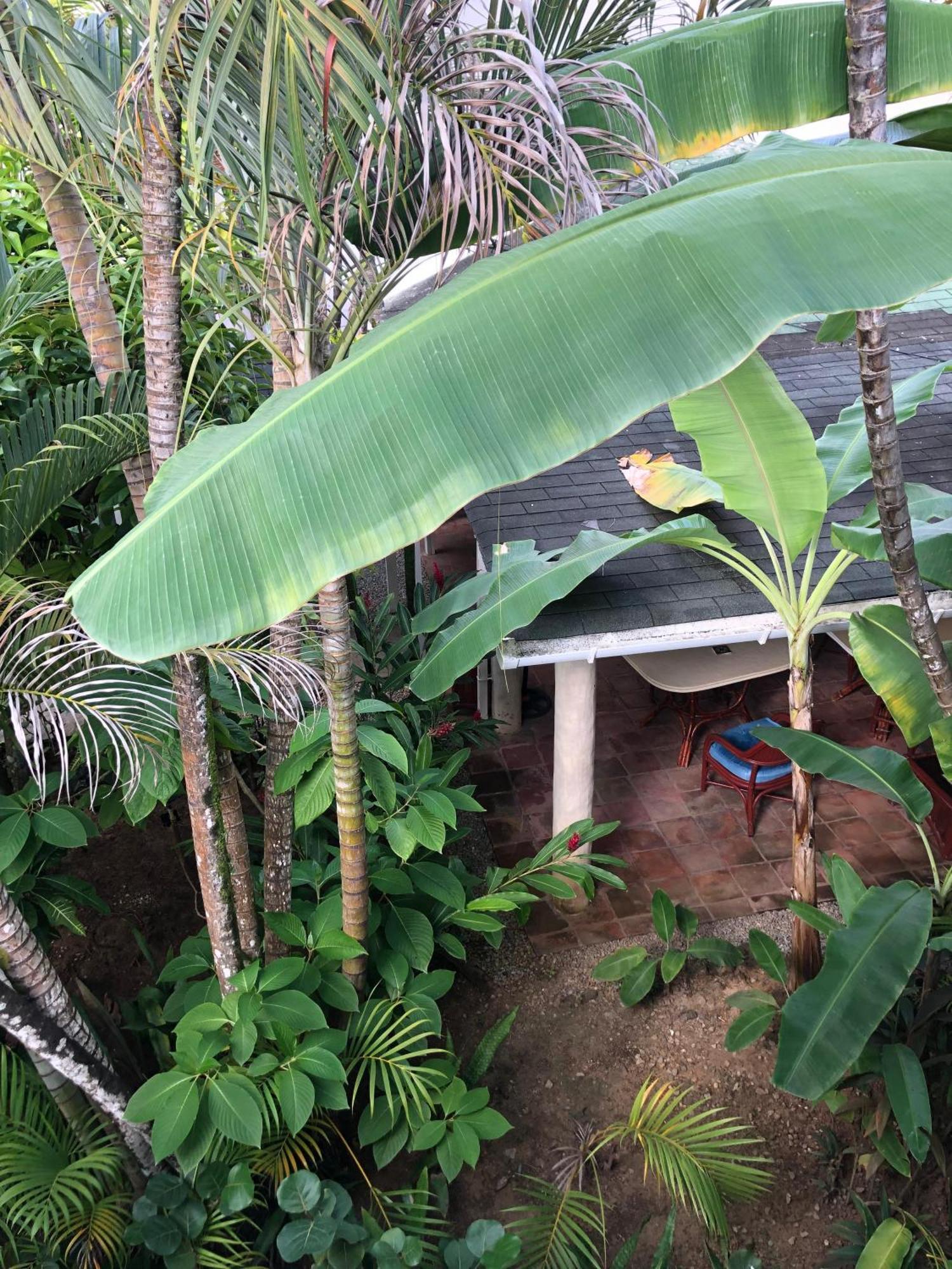 Hotel Casa Robinson Las Terrenas Kültér fotó