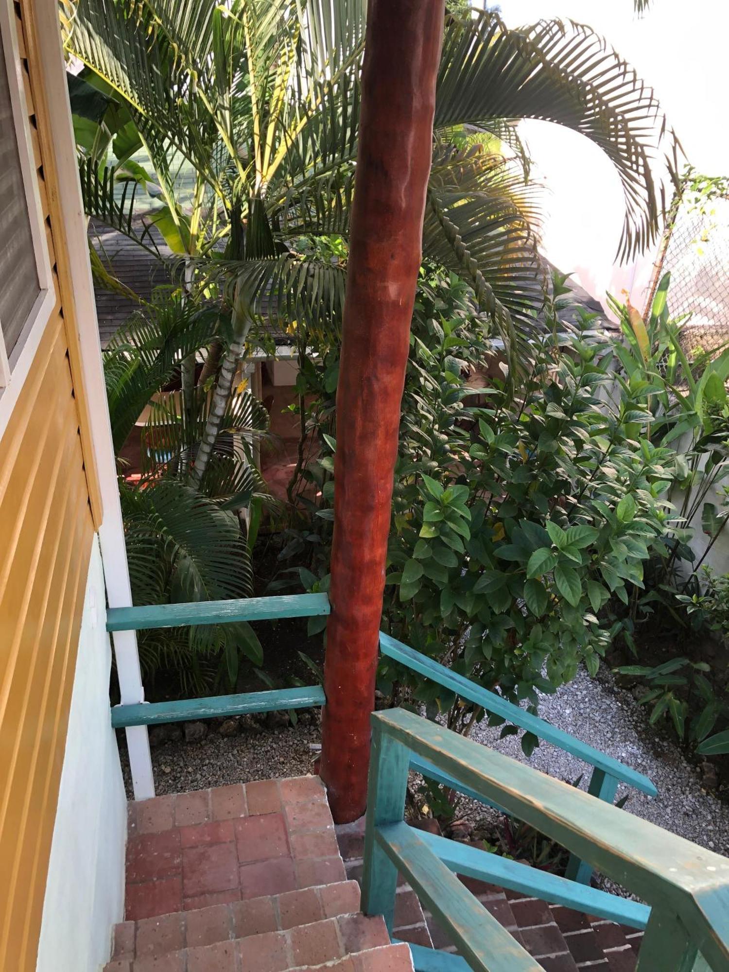 Hotel Casa Robinson Las Terrenas Kültér fotó