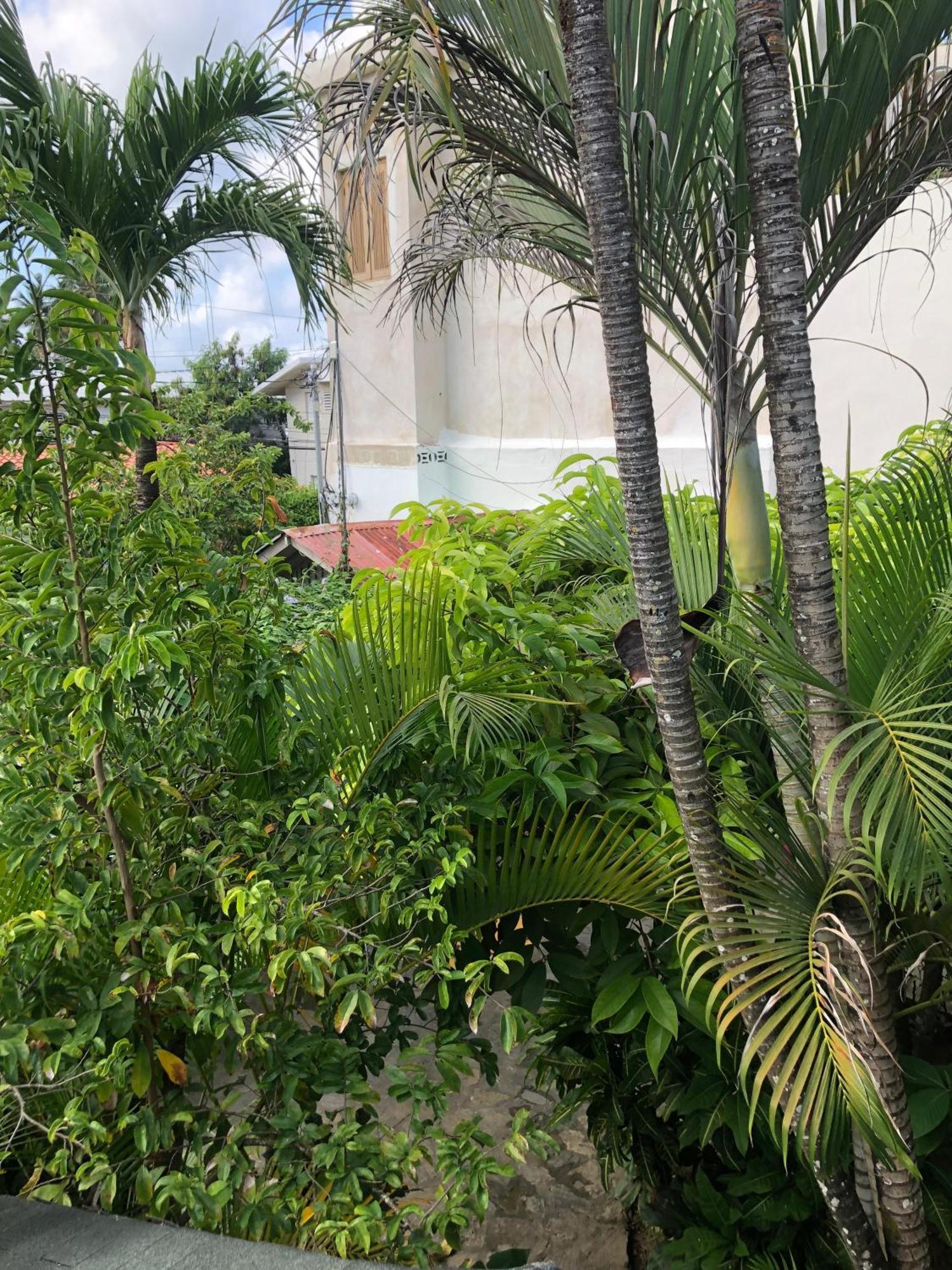 Hotel Casa Robinson Las Terrenas Kültér fotó