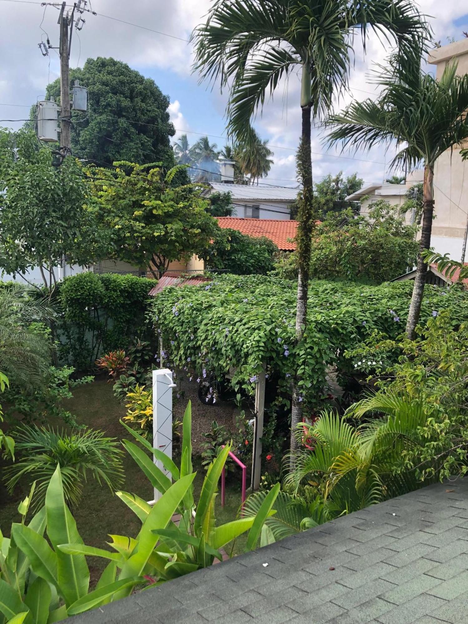 Hotel Casa Robinson Las Terrenas Kültér fotó