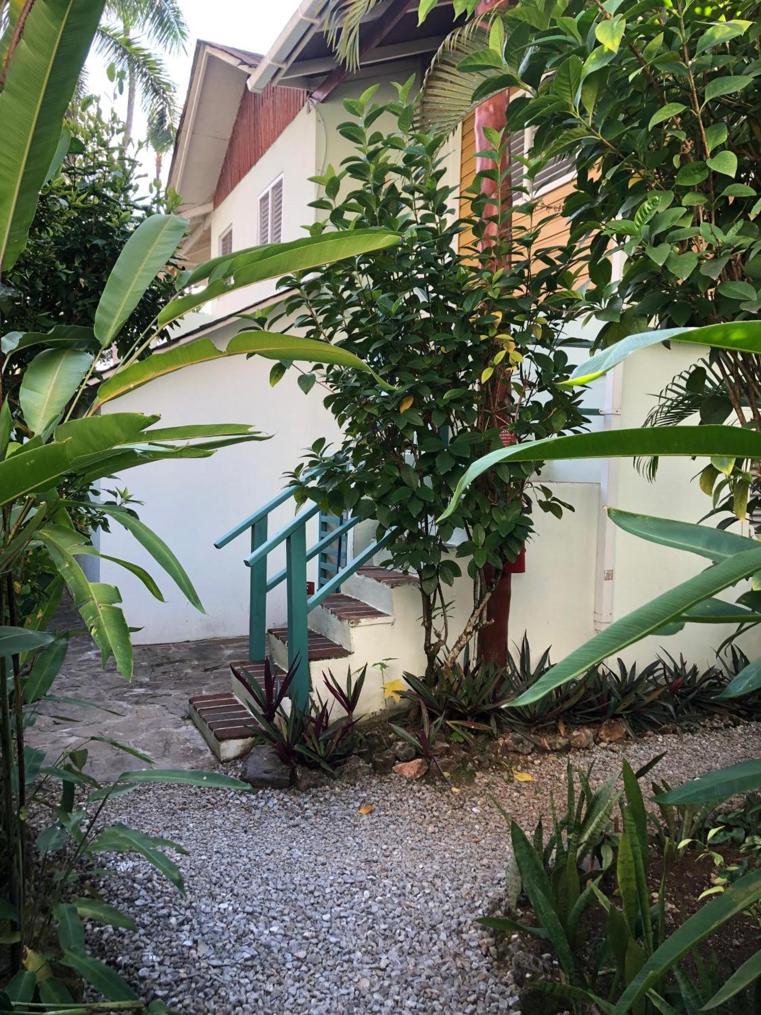 Hotel Casa Robinson Las Terrenas Kültér fotó