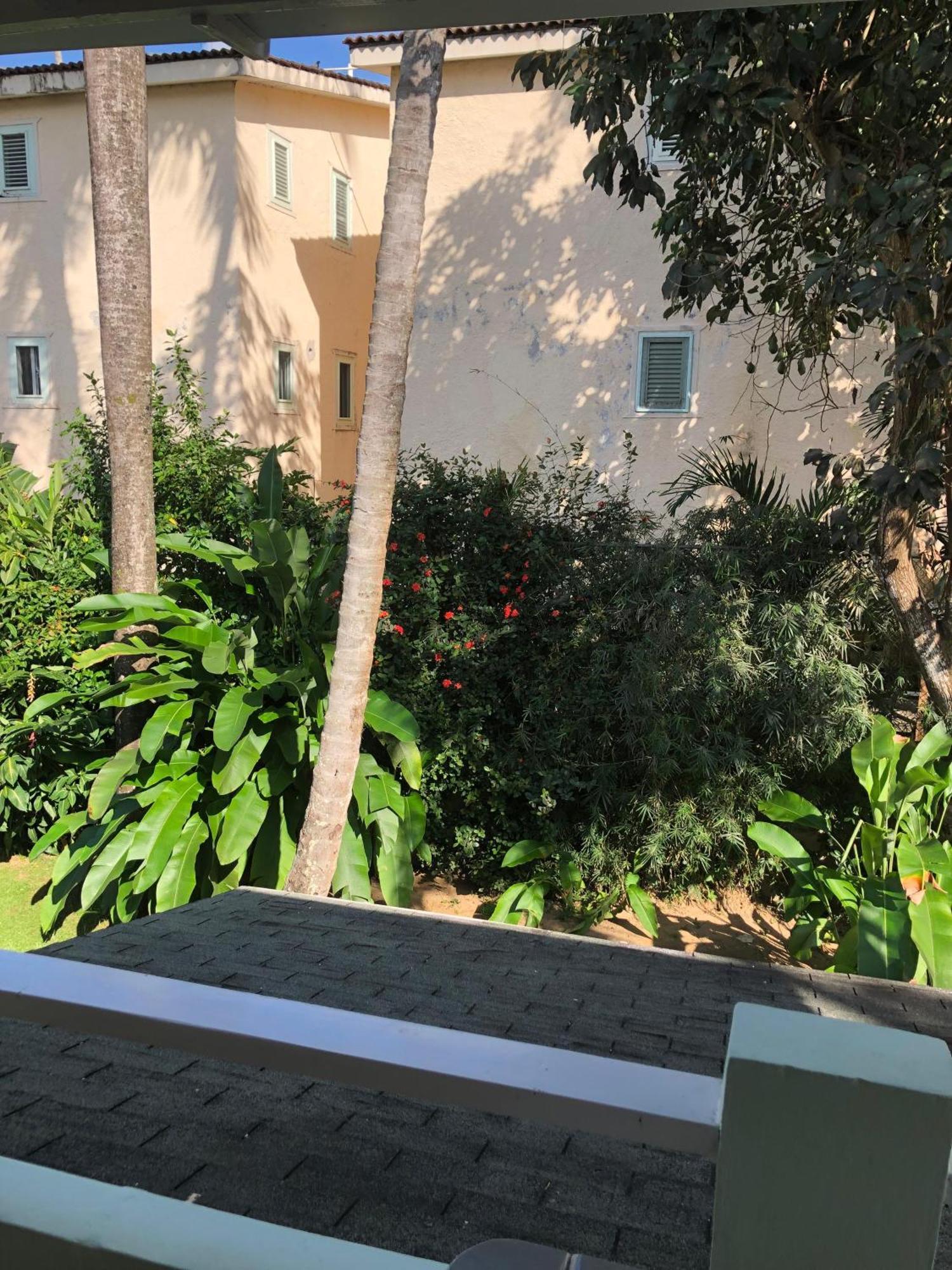 Hotel Casa Robinson Las Terrenas Kültér fotó