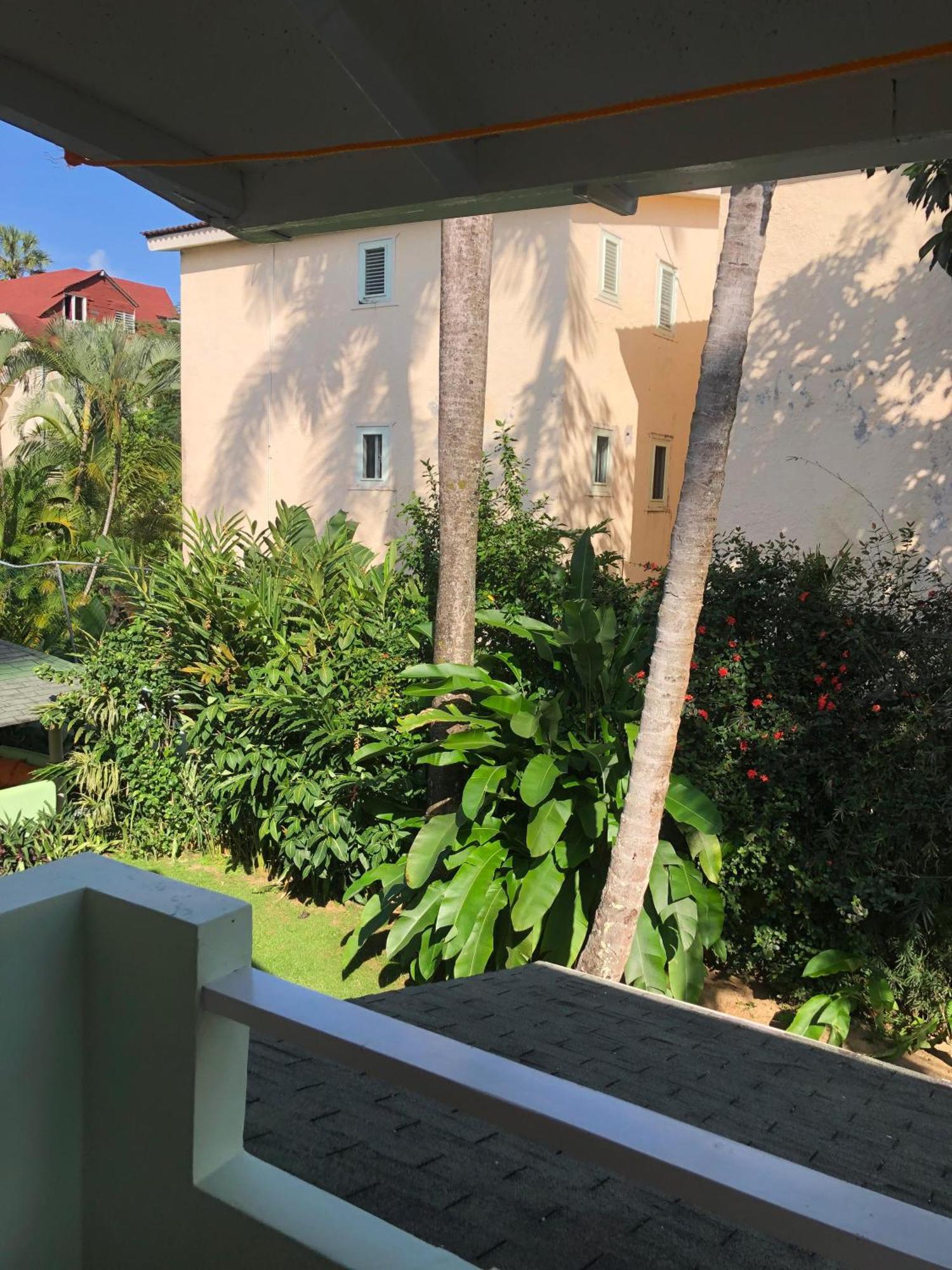 Hotel Casa Robinson Las Terrenas Kültér fotó